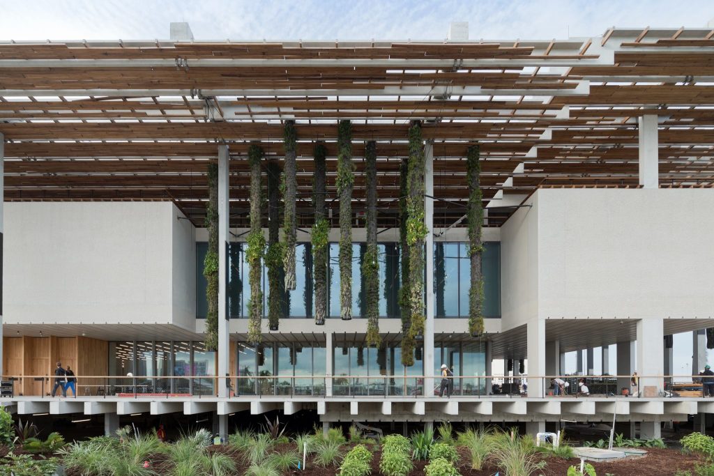 Arquitetura Vernacular de Herzog & de Meuron em novo museu em Miami  jardins de Patrick Blanc