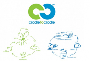 livro Cradle To Cradle em português