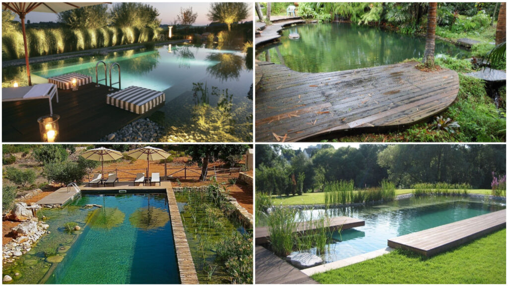 piscinas ecológicas