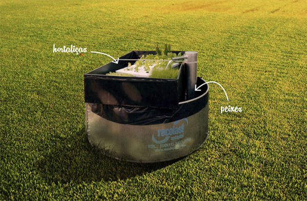 Kit Educacional Aquaponia