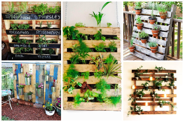 Ideias com paletes reutilizados: jardim e horta - SustentArqui