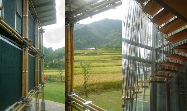 casa de bambu eficiente
