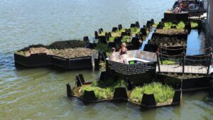 Lixo plástico de rio na Holanda vira parque flutuante