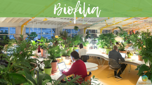 BIOFILIA e arquitetura