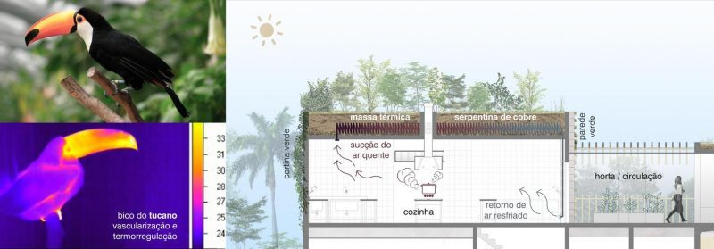 biomimética arquitetura votu hotel tucano