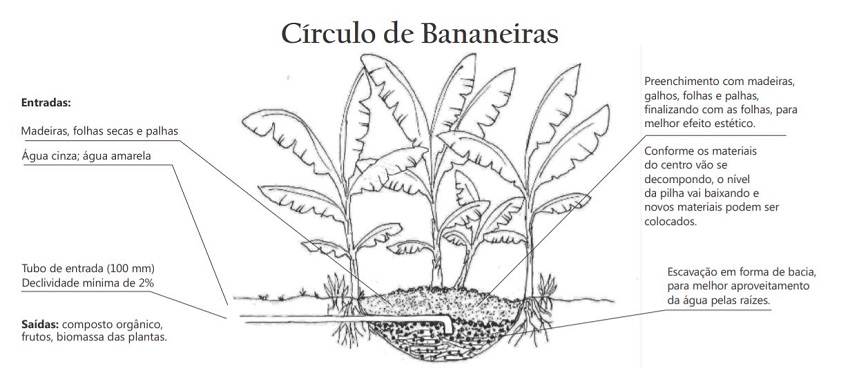 circulo de bananeiras para águas cinzas