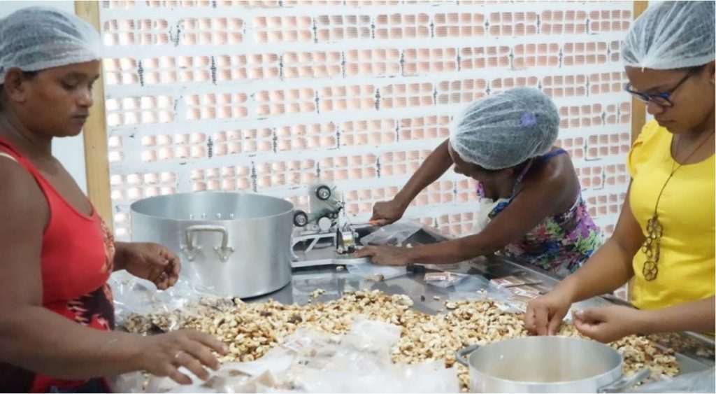 Mulheres da cooperativa Sementes Vida Nova em produção das castanhas de caju