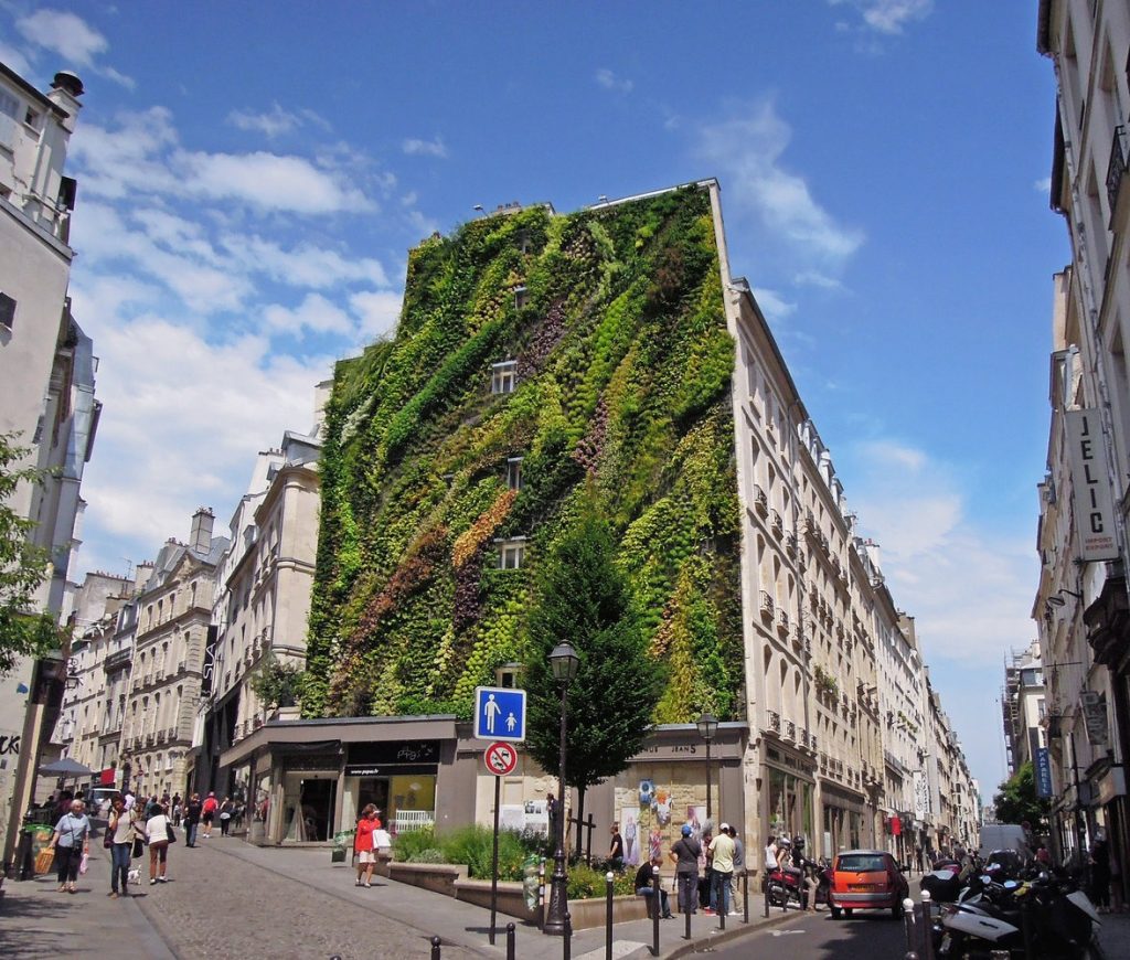 jardim vertical Oasis d’Aboukir – revitalização de empena cega em Paris