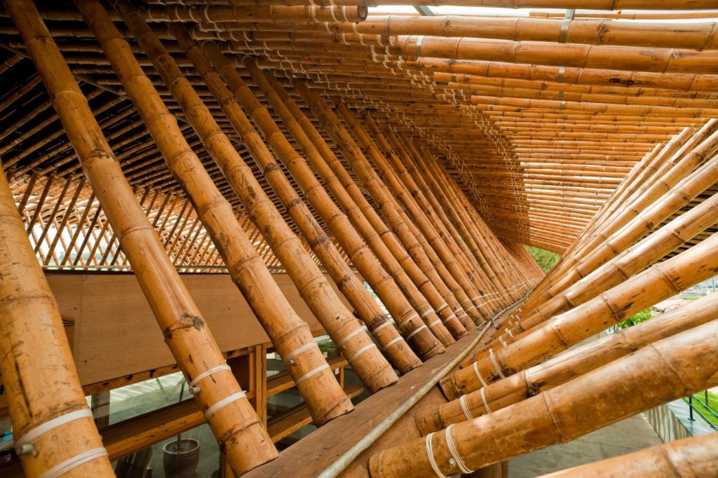 cobertura de bambu e sustentabilidade
