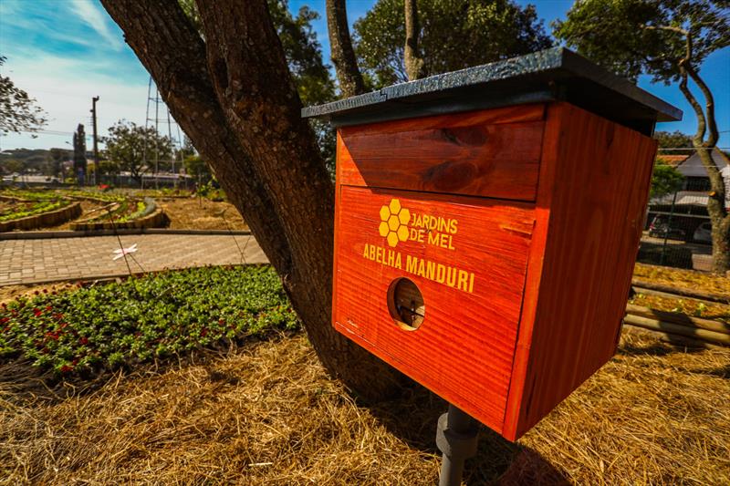 Fazenda Urbana em Curitiba - caixas para abelhas agricultura urbana