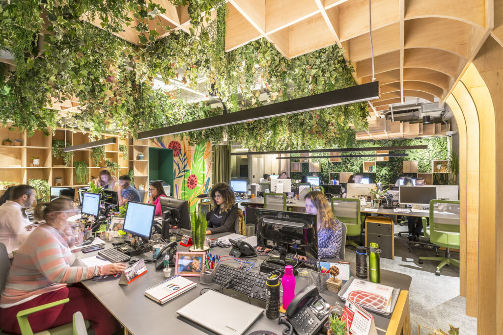 It's Informov Design biofílico