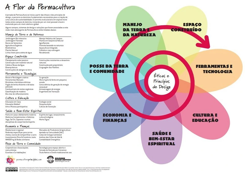 flor da permacultura