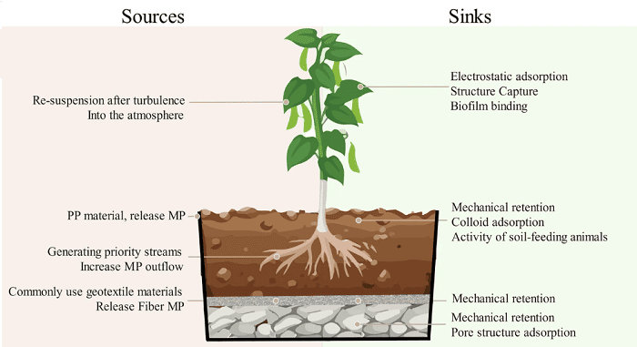 Esquema da análise do comportamento de microplásticos em módulos de telhado verde