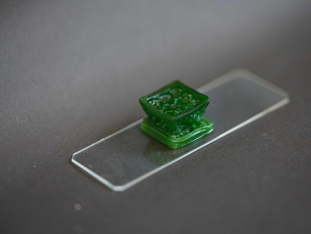 Material de construção vivo: a inovação suíça